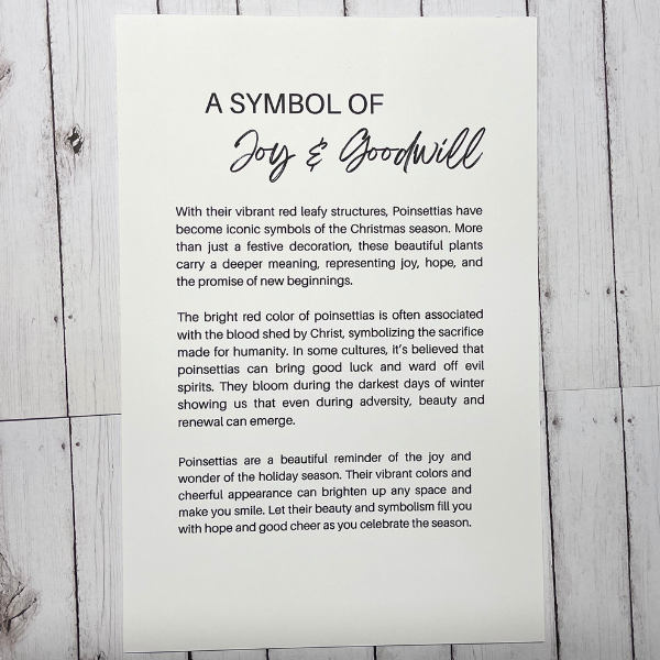 Poinsettia Charm/Ornament