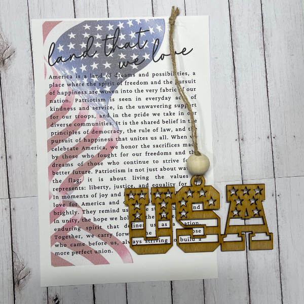 USA - Land that we Love Charm/Ornament